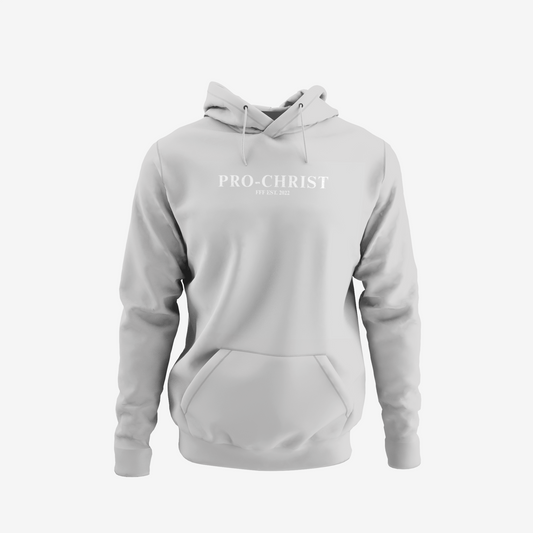 Pro-Christ / Anti-Woke Hoodie